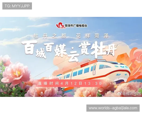 PA视讯微博用户互动分析，提升粉丝参与度的有效技巧