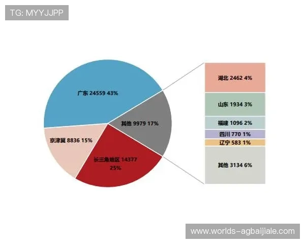 云顶集团中国分公司在中国的业务扩展与合作伙伴关系分析